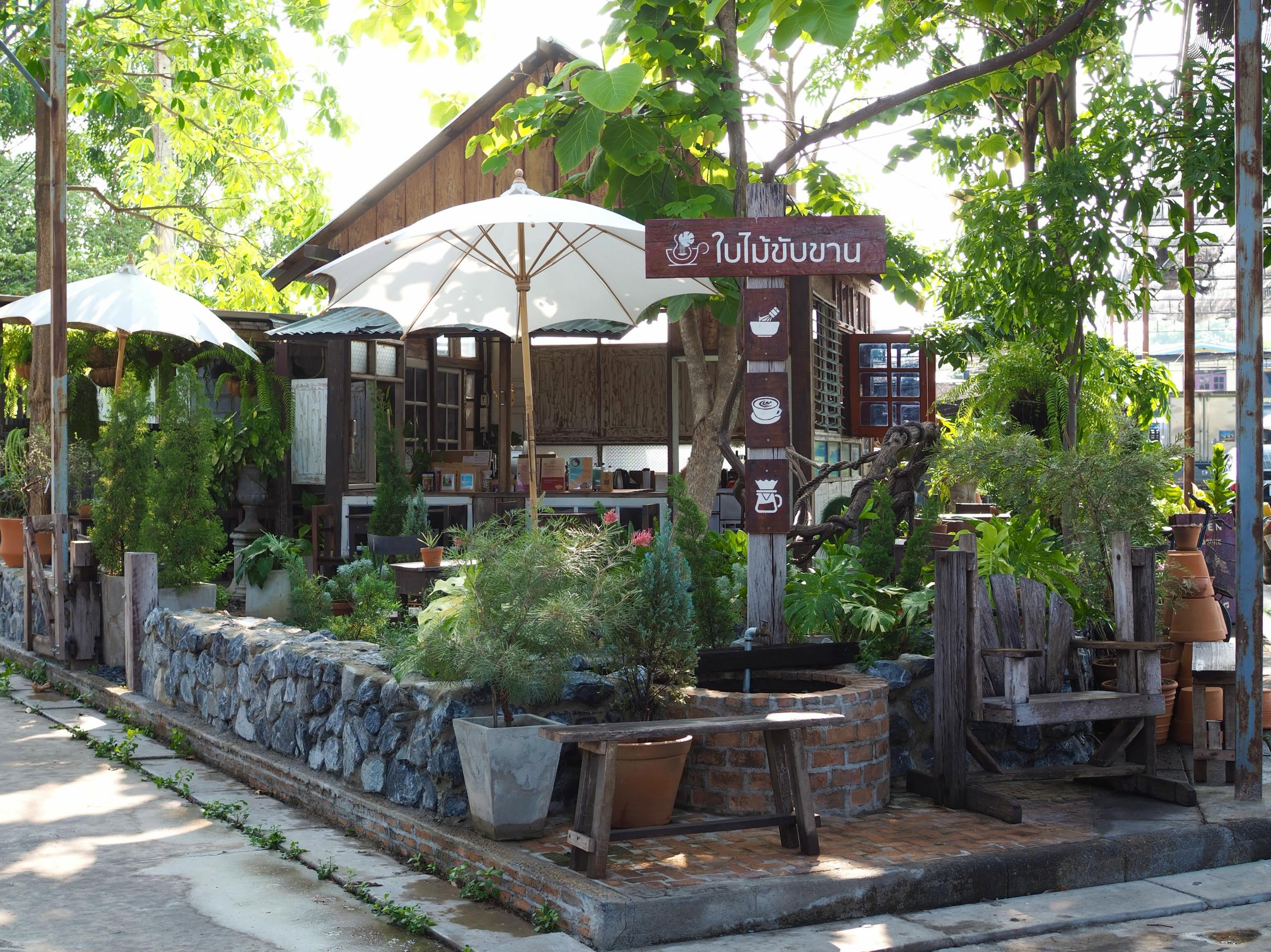 ดนตรีอคูสติกสด งาน event คาเฟ่ใบไม้ขับขาน The Singing Leaf ปทุมธานี