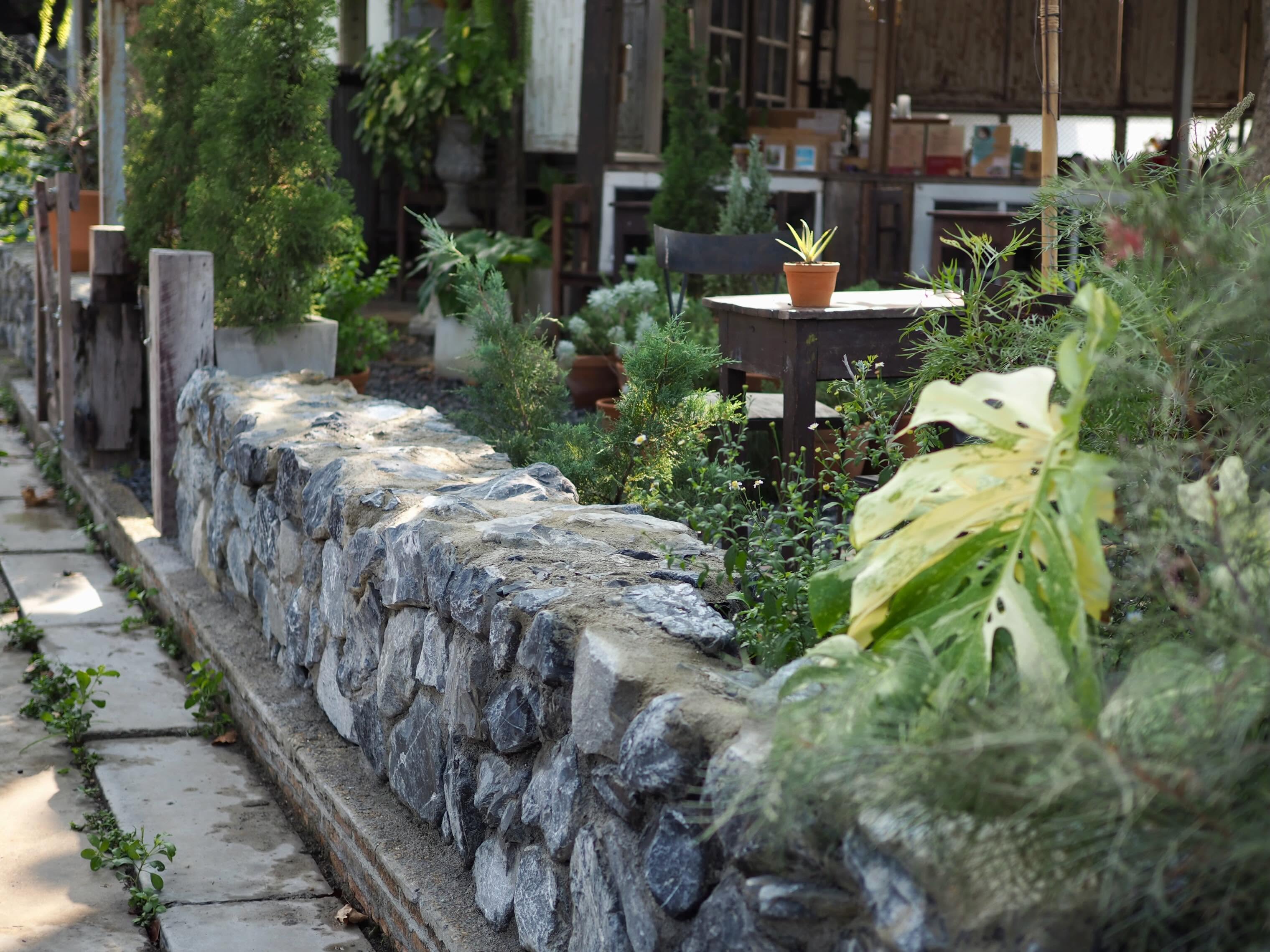 การแสดงดนตรีสด คาเฟ่ The Singing Leaf ใบไม้ขับขาน ปทุมธานี