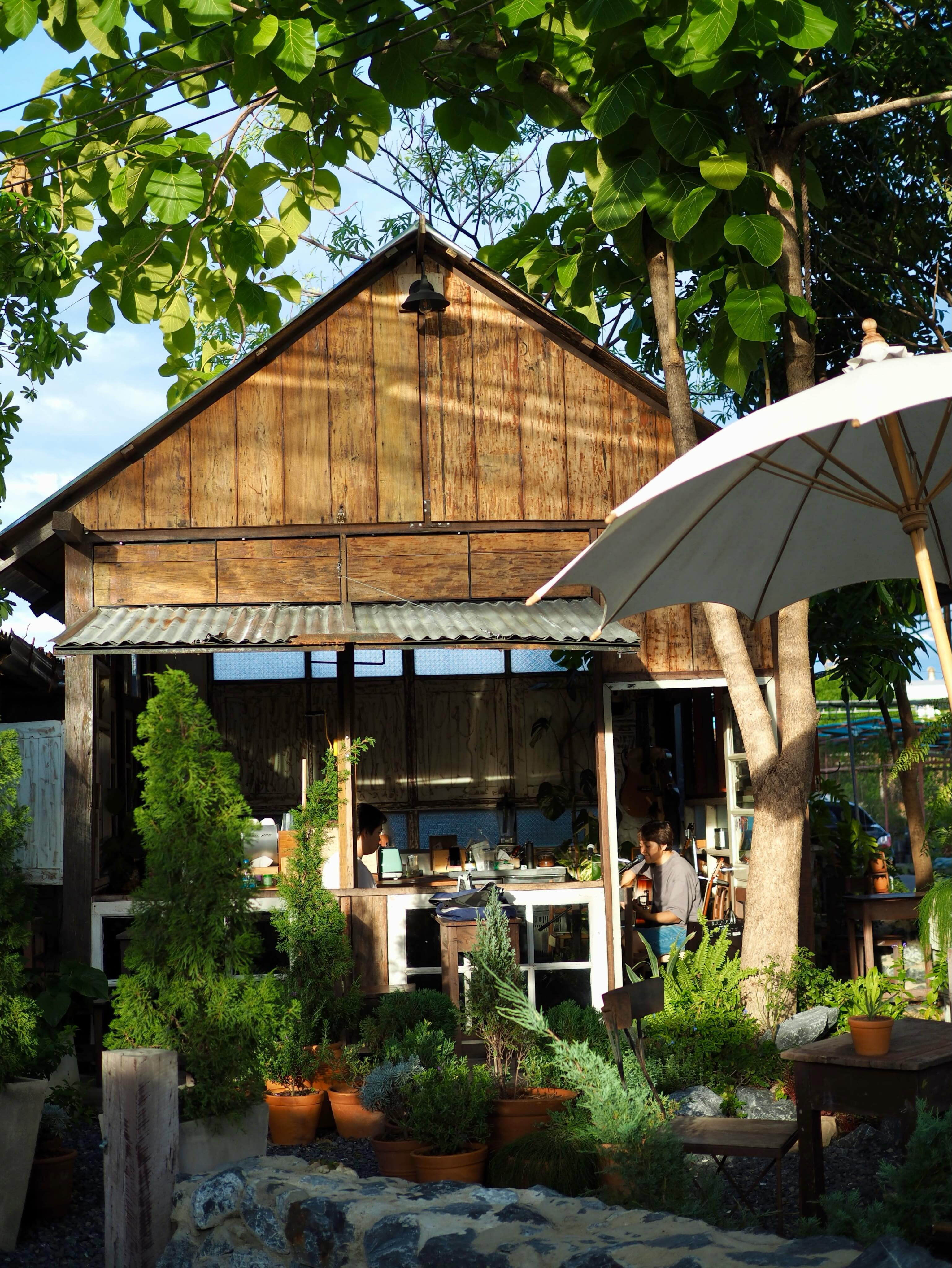 ดนตรีสดอคูสติกวันหยุดสุดสัปดาห์ คาเฟ่ใบไม้ขับขาน ปทุมธานี